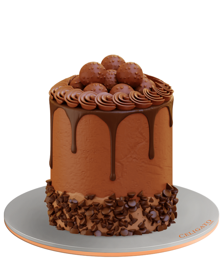 Choco Chips cake on transparent background