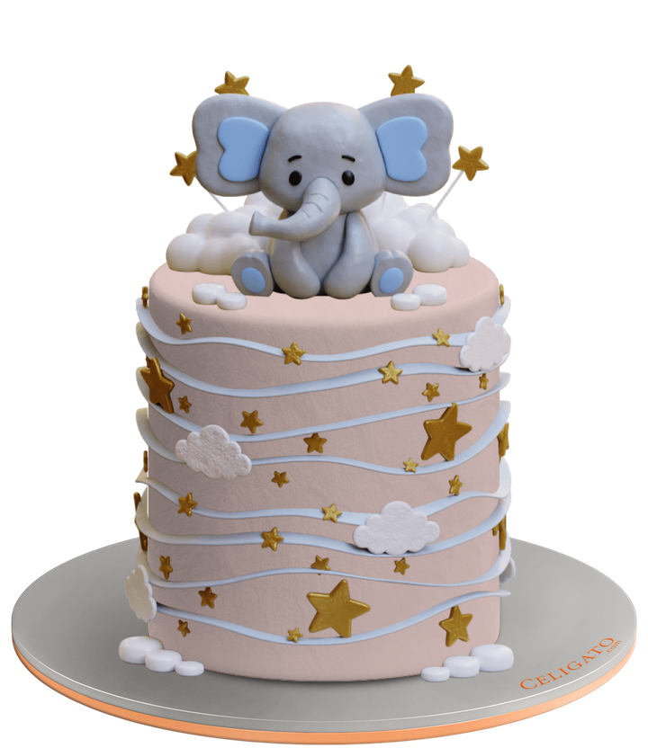 Little Elephant cake on transparent background