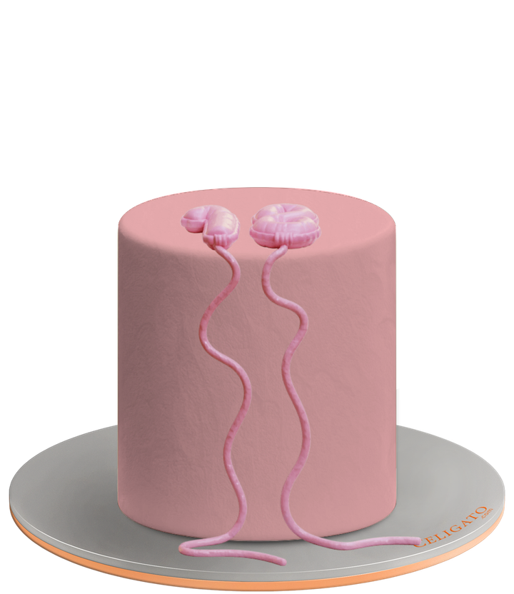 Flying 18 Ballons Kids Round Cake on transparent background