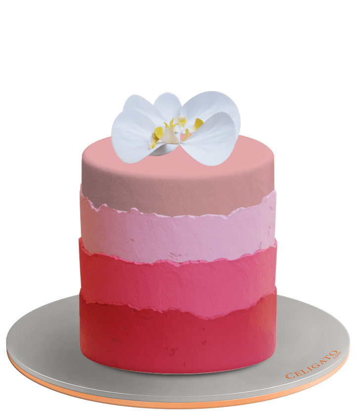 Orchid Pink cake on transparent background