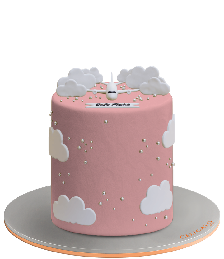 Safe Flight cake on transparent background