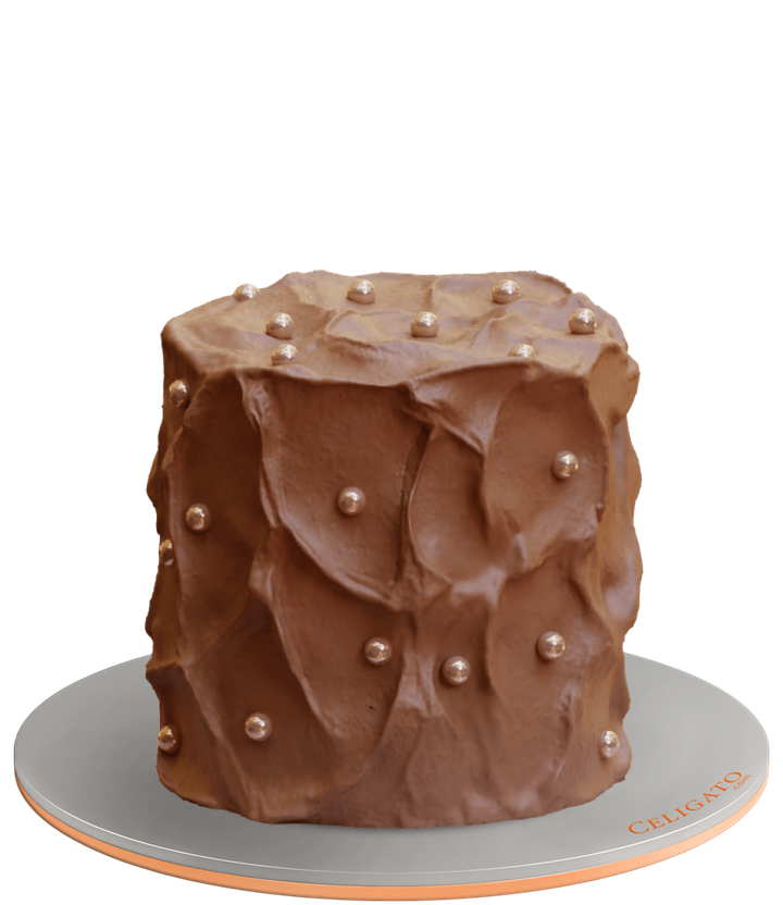 Chocolate Goodness cake on transparent background