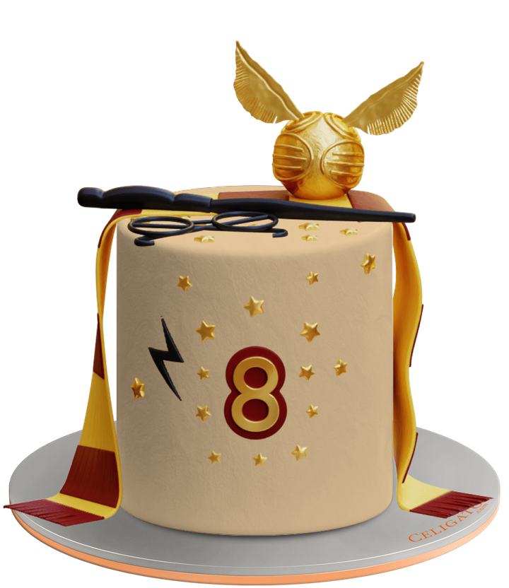 Harry Potter Kids Round Cake on transparent background