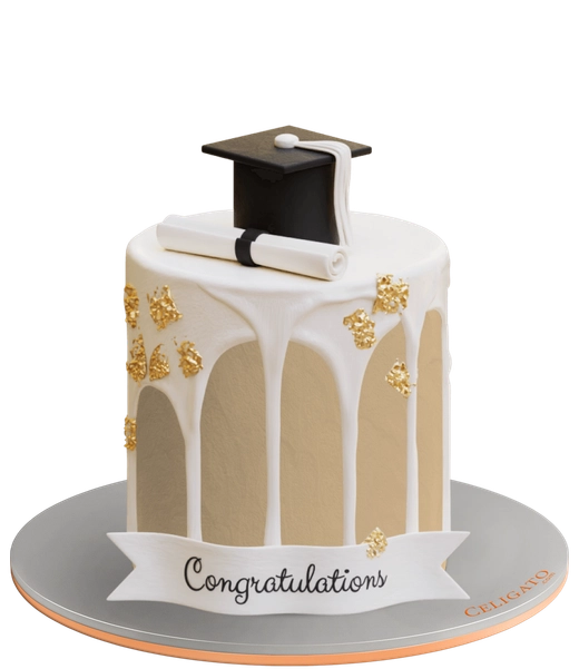 Snow Grad cake on transparent background