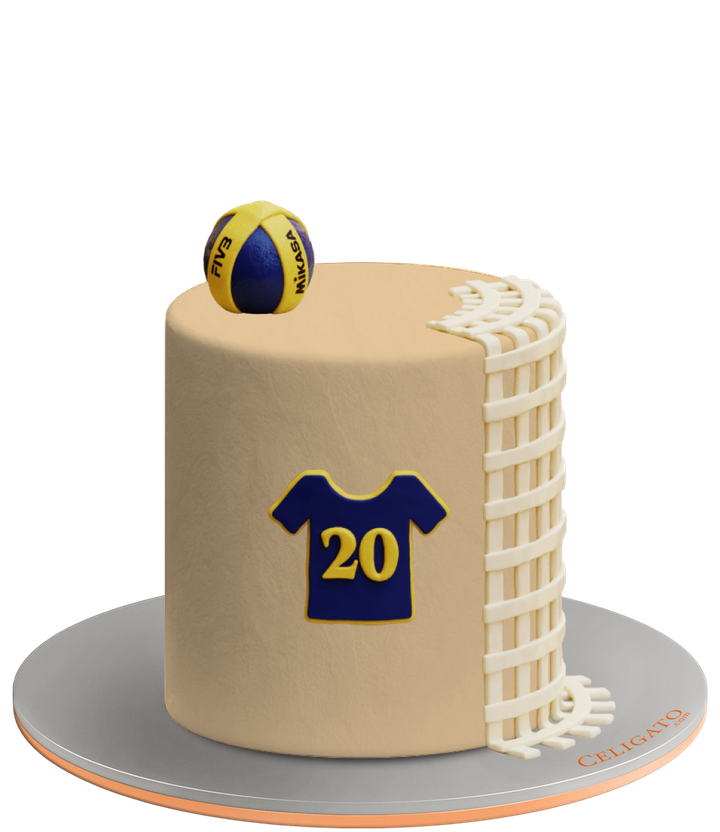 Volleyball cake on transparent background