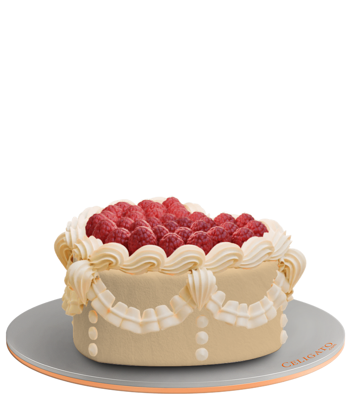 Raspberry Retro cake