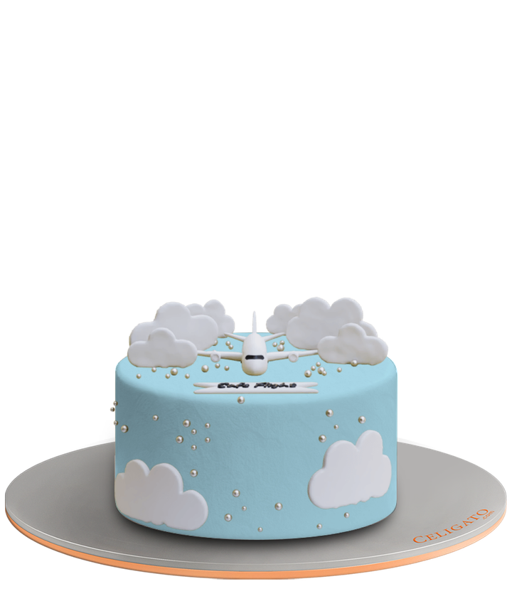 Safe Flight cake