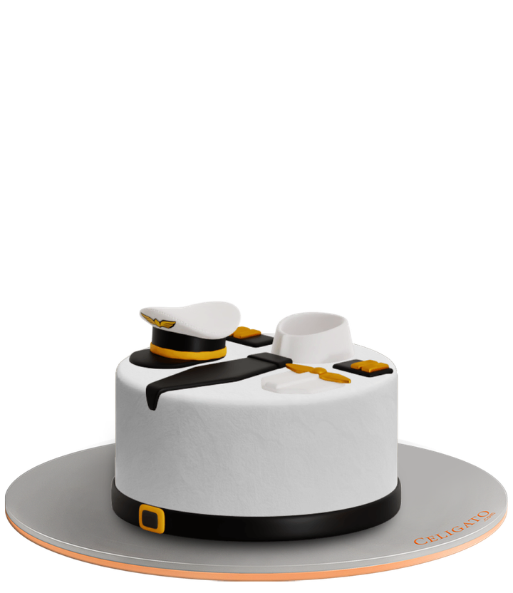 Pilot cake on transparent background