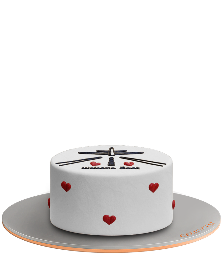 You’re Back cake