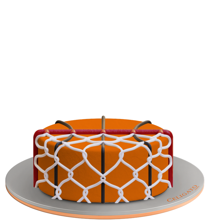 Basketball Star cake
