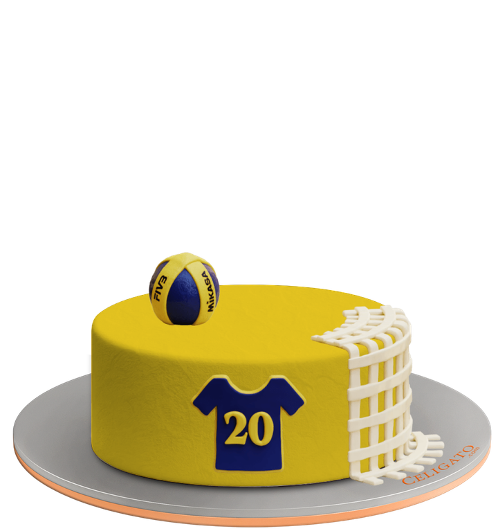 Volleyball cake