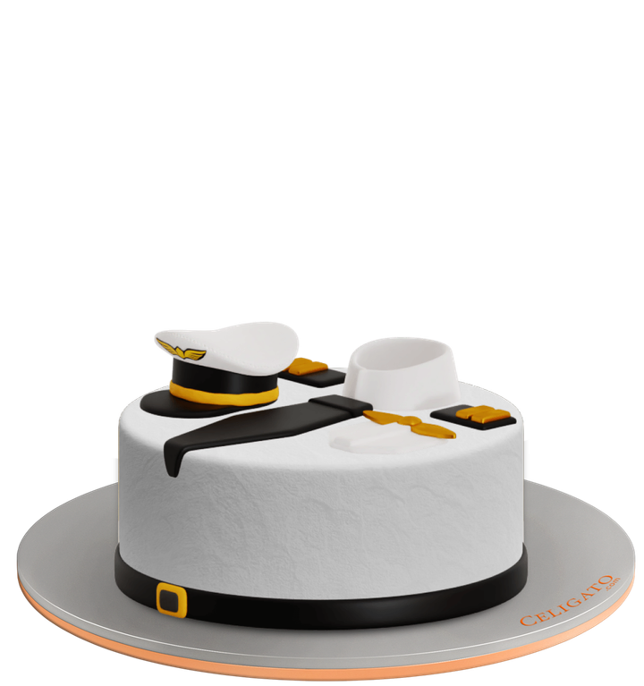 Pilot cake on transparent background