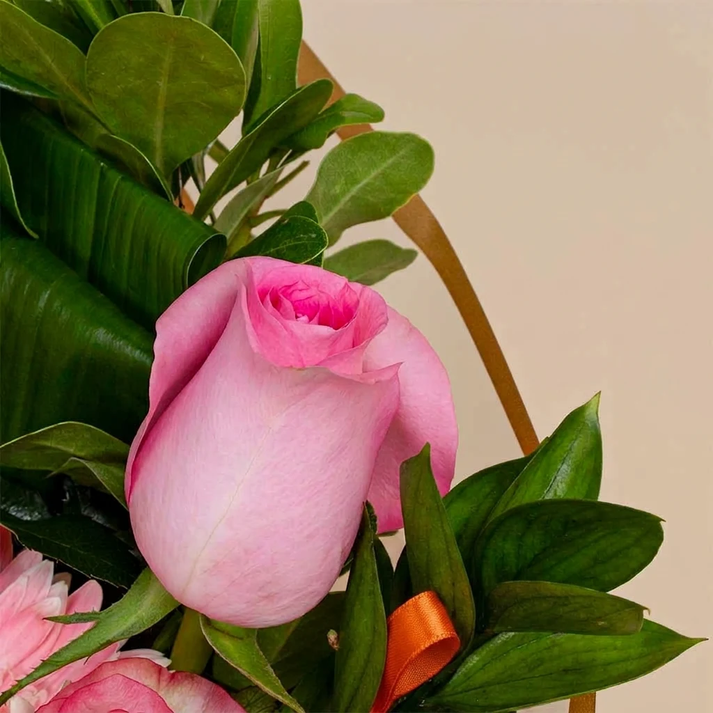 باقة ورود بينك فاخرة من فلوريستا