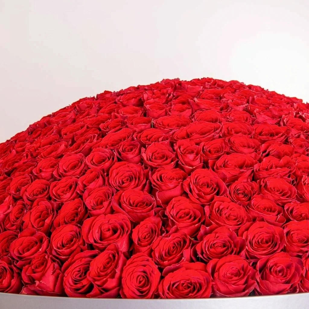 500 زهرة حمراء بوكية